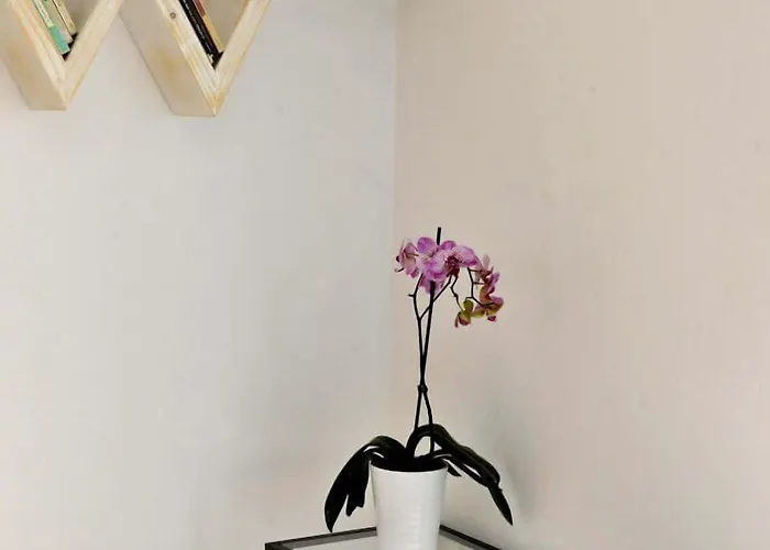 Appartement Blue Mare