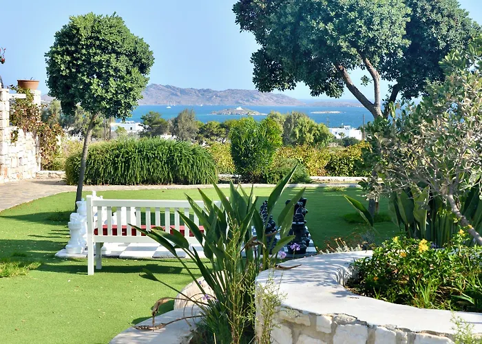 Blue Mare ناوسا